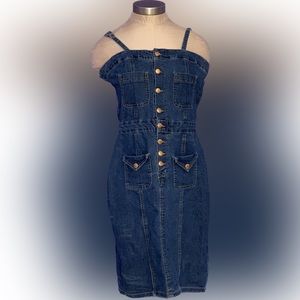 Vintage Style Jean Dress
